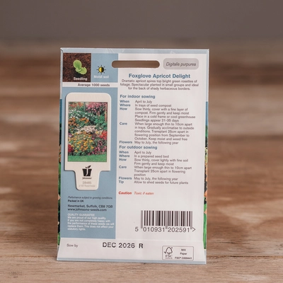 Foxglove Apricot Delight - image 2