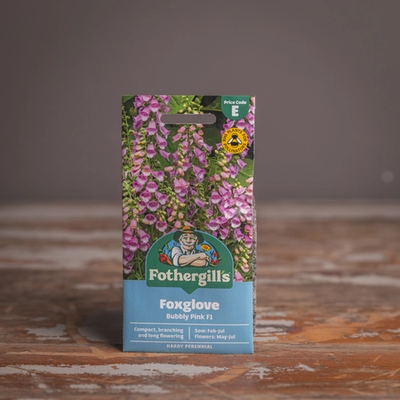 Foxglove Bubbly Pink F1 - image 1