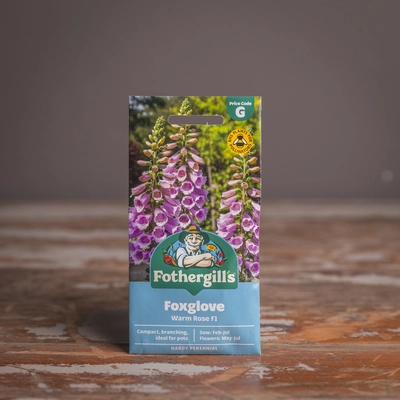 Foxglove Warm Rose F1 - image 1
