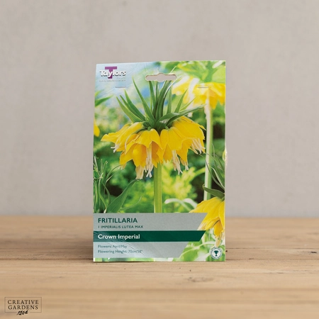 Fritillaria Imperialis Lutea Max