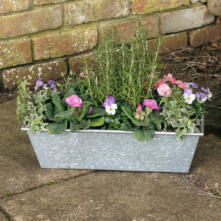 Galvanised Zinc Trough Planter ‘Pinks & Purples’ - image 2