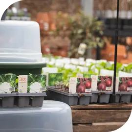 Garden Accessories