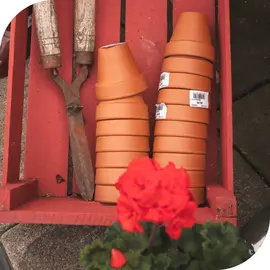 Gardening