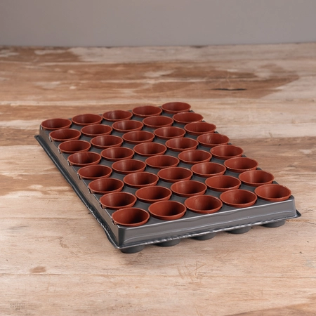 Garland Professional Seed and Cutting Tray with 6cm Round Pots