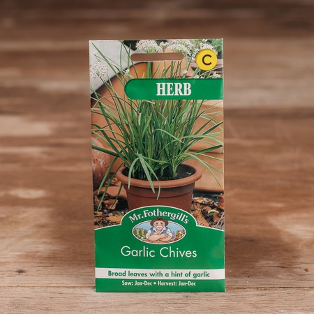 Garlic Chives - image 1