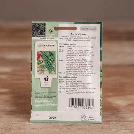 Garlic Chives - image 2