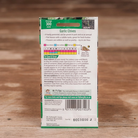 Garlic Chives - image 2