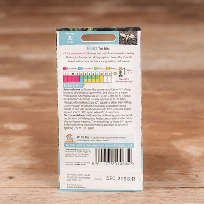 Gaura The Bride - image 2