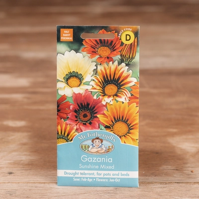 Gazania Sunshine Mix - image 1