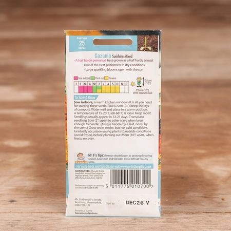 Gazania Sunshine Mix - image 2