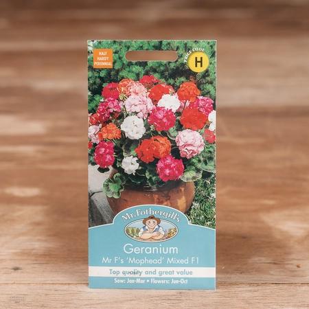 Geranium Mr F'S Mophead Mix F1 - image 1