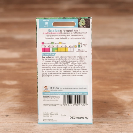 Geranium Mr F'S Mophead Mix F1 - image 2