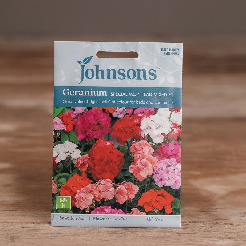 Geranium Special Mop Head Mixed F1 Creative Gardens