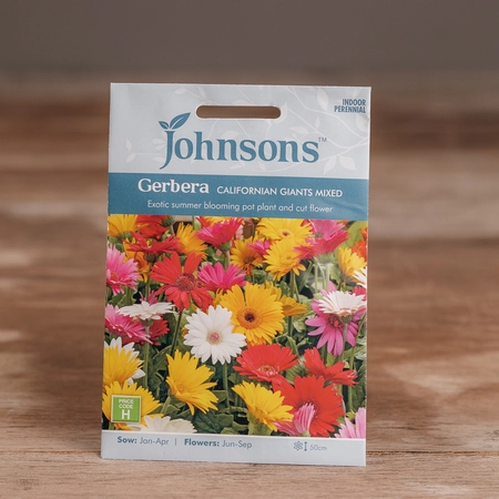 Gerbera Californian Giants Mix - image 1