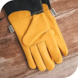 Gloves & Kneelers