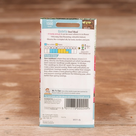 Godetia Dwarf Mix - image 2