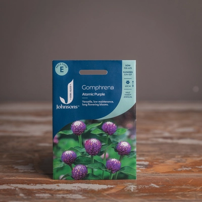 Gomphrena Atomic Purple - image 1