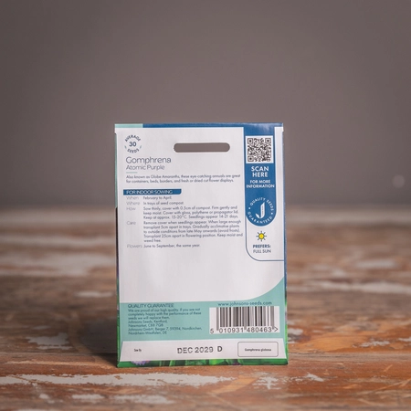 Gomphrena Atomic Purple - image 2