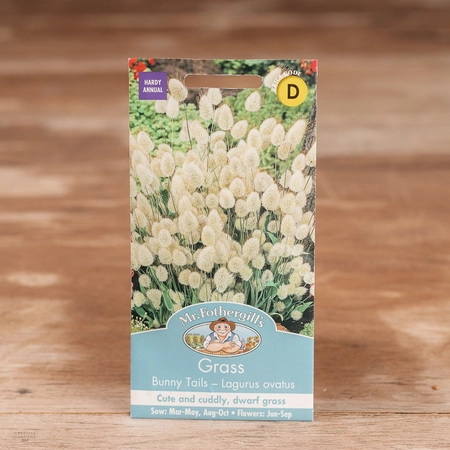 Grass Bunny Tails (Lagurus) - image 1