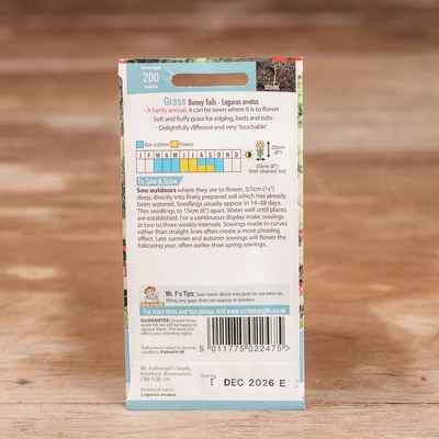 Grass Bunny Tails (Lagurus) - image 2