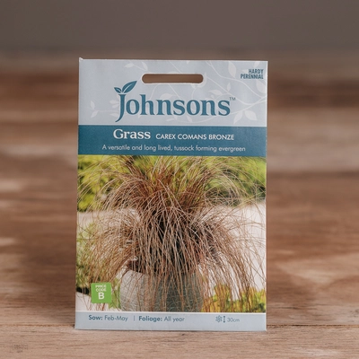 Grass Carex Comans Bronze - image 1