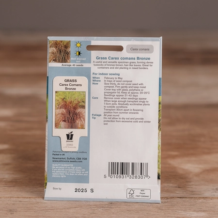 Grass Carex Comans Bronze - image 2