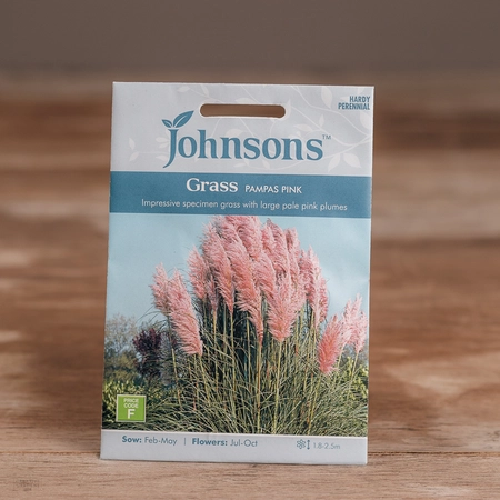 Grass Pampas Pink - image 1