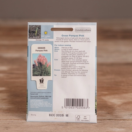 Grass Pampas Pink - image 2