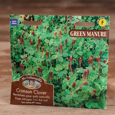 Green Manure Crimson Clover - image 1