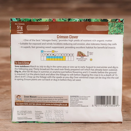 Green Manure Crimson Clover - image 2