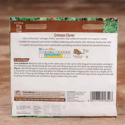 Green Manure Crimson Clover - image 2
