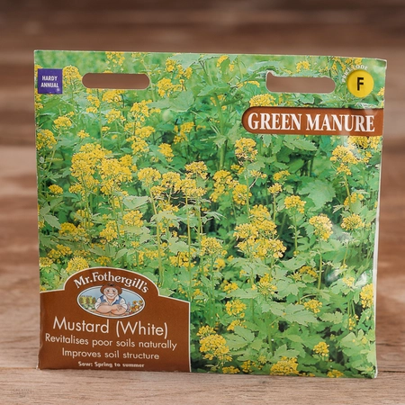 Green Manure Mustard (White) - image 1
