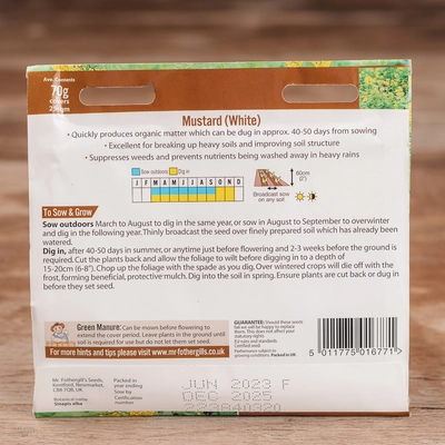 Green Manure Mustard (White) - image 2