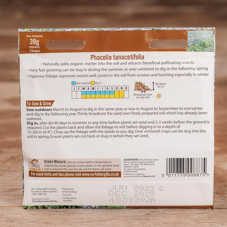 Green Manure Phacelia Tanacetifolia - image 2