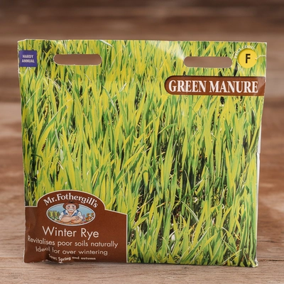 Green Manure Winter Rye - image 1