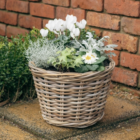 Grey Willow Large Round Basket Planter ‘Fresh Greens & Whites’ - image 1