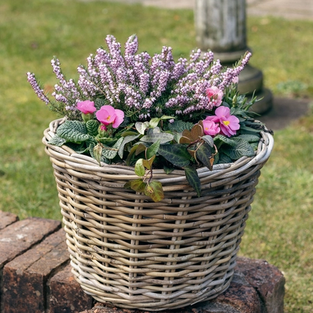 Grey Willow Large Round Basket Planter ‘Pinks & Purples’ - image 2