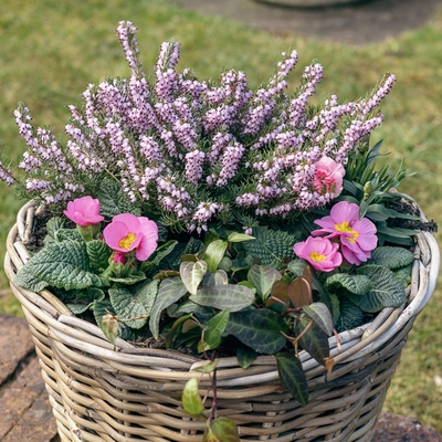 Grey Willow Large Round Basket Planter ‘Pinks & Purples’ - image 3