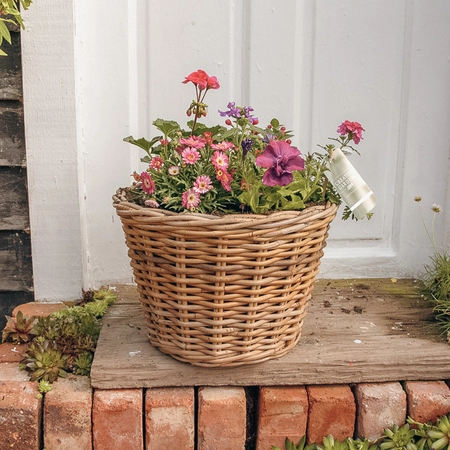 Grey Willow Large Round Basket Planter ‘Pinks & Purples’ - image 1