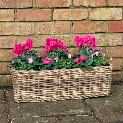 Grey Willow Large Window Box Planter ‘Pinks & Purples’