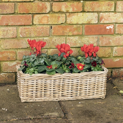 Grey Willow Large Window Box Planter ‘Rich Reds’ - image 2