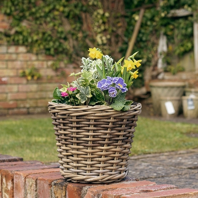 Grey Willow Medium Round Basket Planter ‘Multi-Coloured’ - image 2