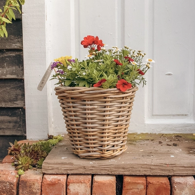 Grey Willow Medium Round Basket Planter ‘Multi-Coloured’ - image 1