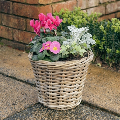 Grey Willow Medium Round Basket Planter ‘Pinks & Purples’