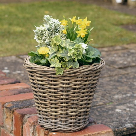 Grey Willow Medium Round Basket Planter ‘Yellow & White’ - image 1