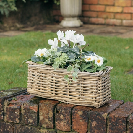 Grey Willow Small Window Box Planter ‘Fresh Greens & Whites - image 3