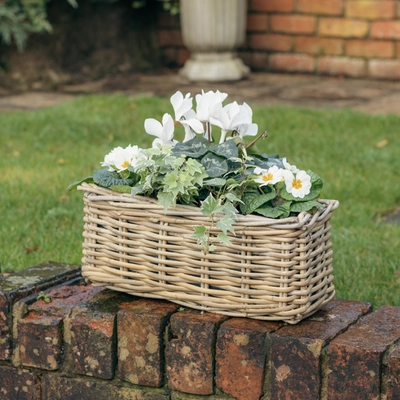Grey Willow Small Window Box Planter ‘Fresh Greens & Whites - image 3
