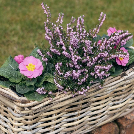 Grey Willow Small Window Box Planter ‘Pinks & Purples' - image 2