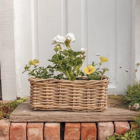 Grey Willow Small Window Box Planter ‘Yellow & White' - image 1