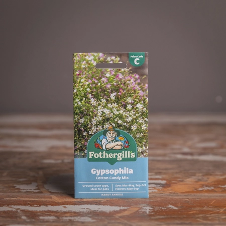 Gypsophila Cotton Candy Mix - image 1